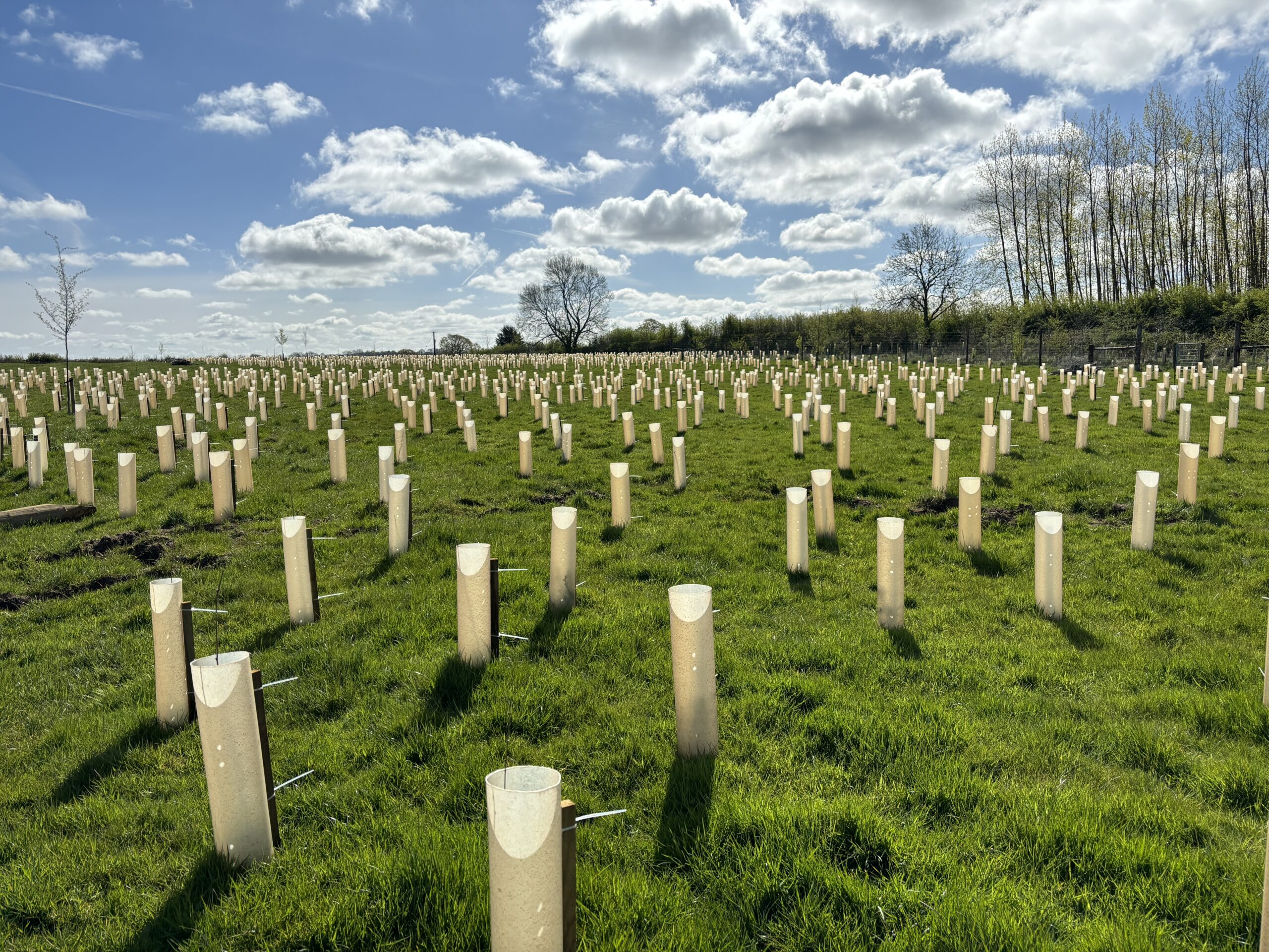 Terra Shrub Shelters